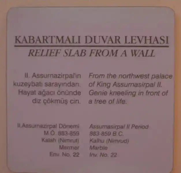 Genie - a winged man kneeling in front a tree of life